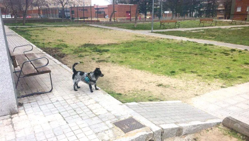 Plaza de Santa Cecilia, situada en el barrio San José