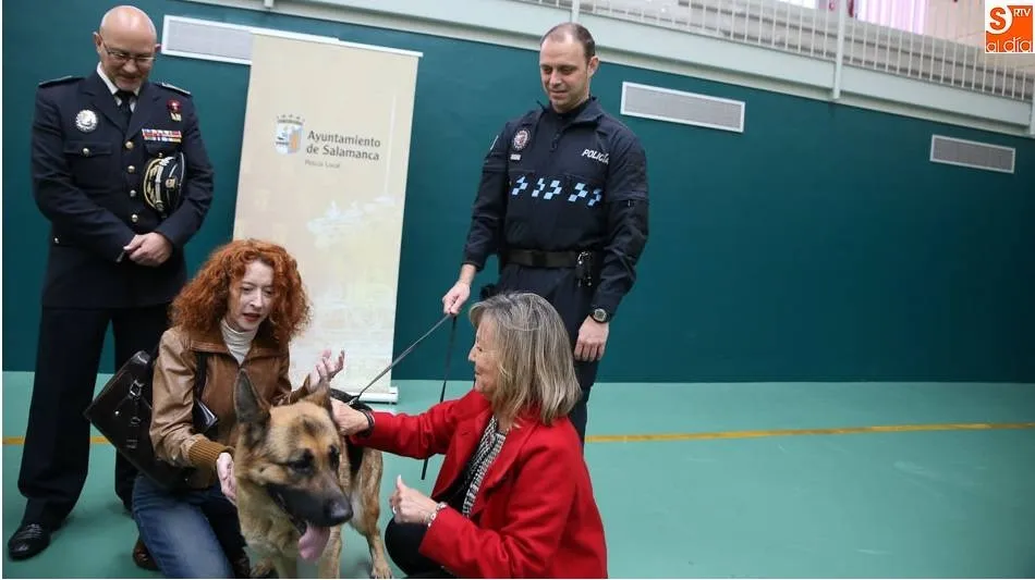 ‘Luna’, es una perra, pastor alemán de tres años, que se convirtió en el primero en Castilla y León que presta terapia, compañía y aviso a una mujer víctima de violencia de género
