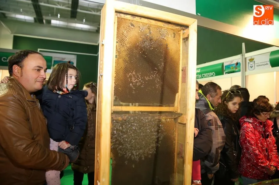 La Feria Apícola de Aldeatejada volverá a contar con demostraciones y degustaciones de miel