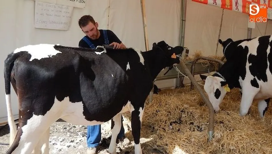 LA OPA pide a la Junta que sancione en el caso de que no se especifique el origen de la leche