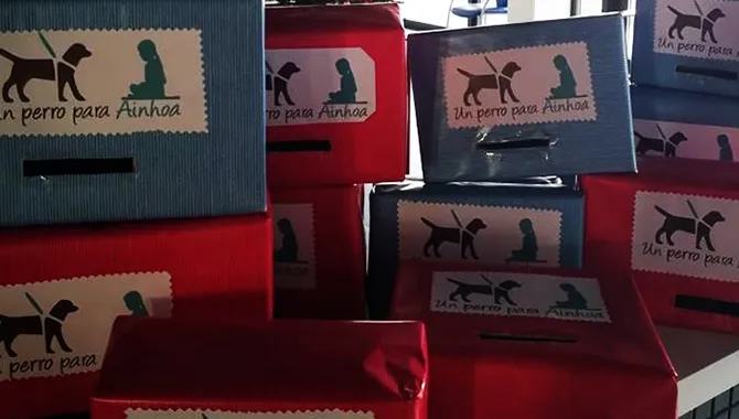 La campaña ‘Un perro para Ainhoa’, nominada a los Premios Solidaridad 2018 de Cruz Roja