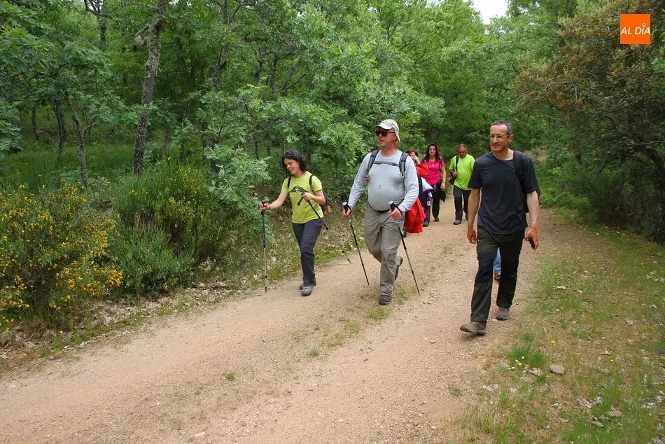 El recorrido llevará a los participantes al Monte de Tonda
