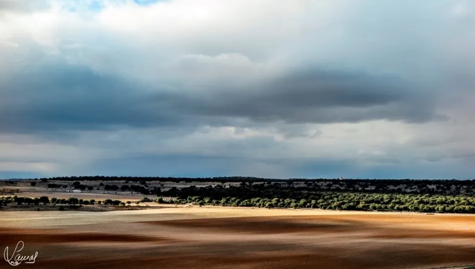 Sombras en la llanura