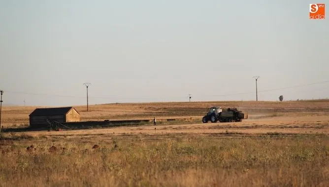 El único requisito es que hayan realizado un máximo de 55 jornadas reales en 2018