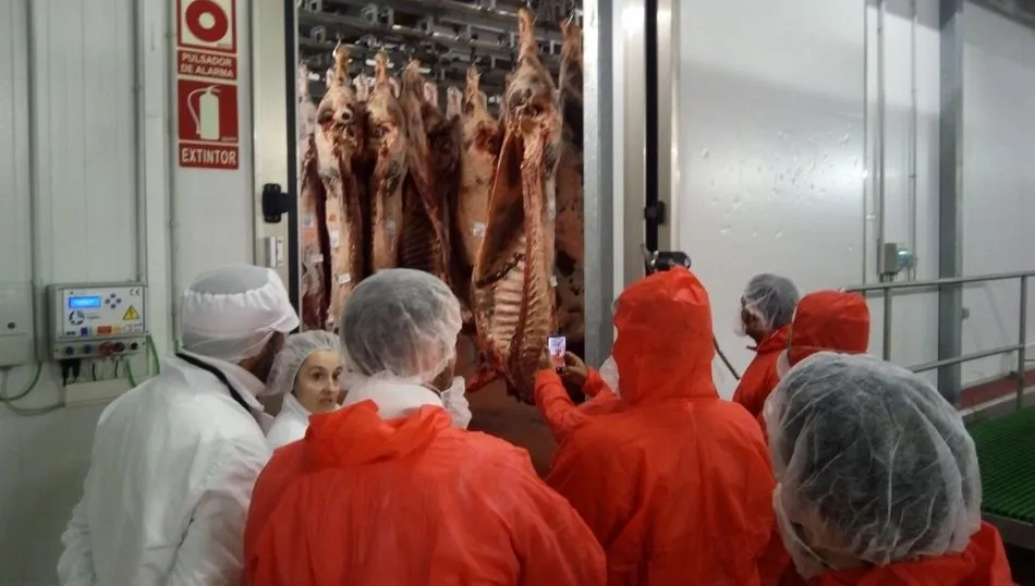 Visita de una delegación de Arabia Saudí visita explotaciones, mataderos, salas de despiece y transformadoras. Foto: Provacuno