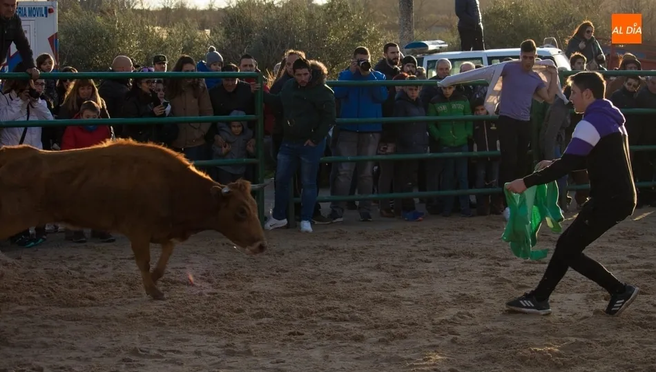 La afición taurina de La Ribera queda patente en las fiestas de San Blas  