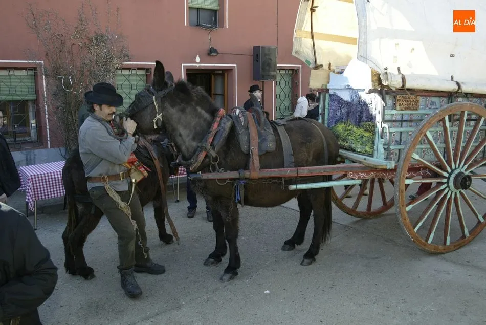 Los carros de los arrieros volverán un año más a la matanza