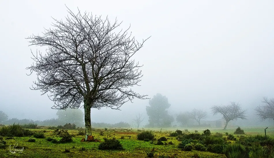 La Sierra se despereza