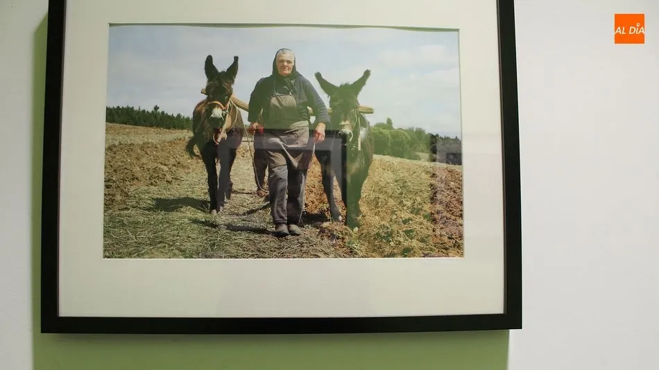 La belleza de lo cotidiano, en las fotografías de Cláudia Costa/ Fotos: Martín-Garay