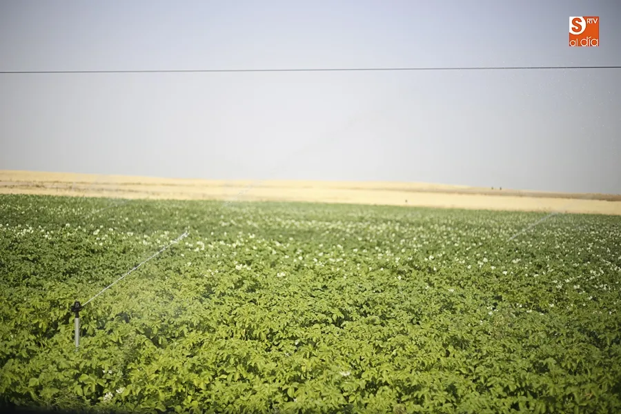 Mínima modernización de regadíos que recogía el Plan Hidrológico del Duero