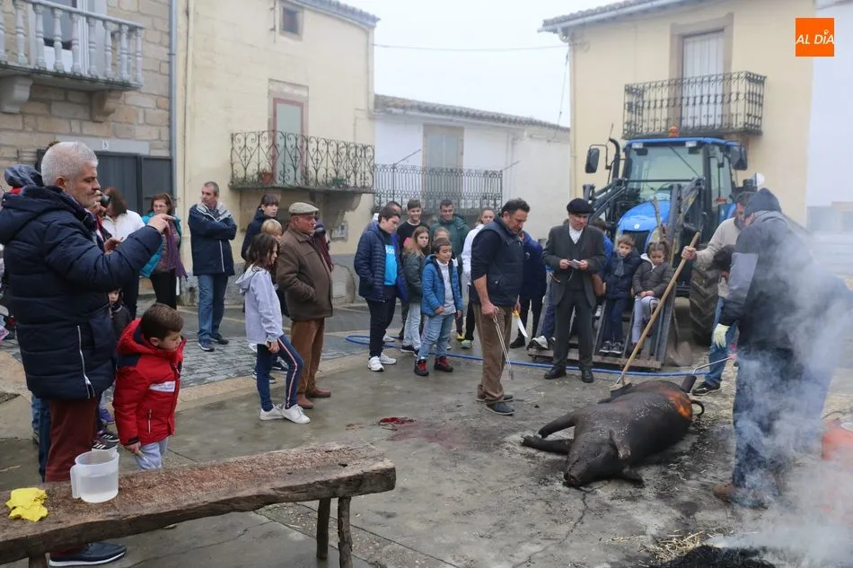 Matanza típica celebrada en Saucelle en diciembre pasado