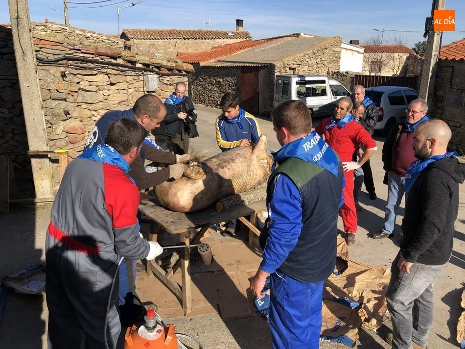 Los vecinos de Gejo de los Reyes disfrutan de una jornada festiva con la matanza  