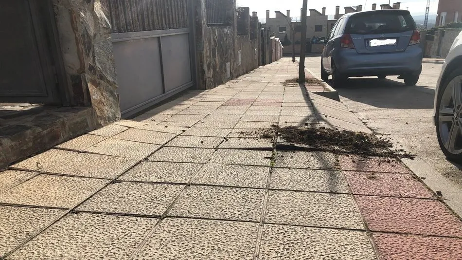 Imagen del estado de la acera de la calle Río Hueba tras haber arrancado un árbol