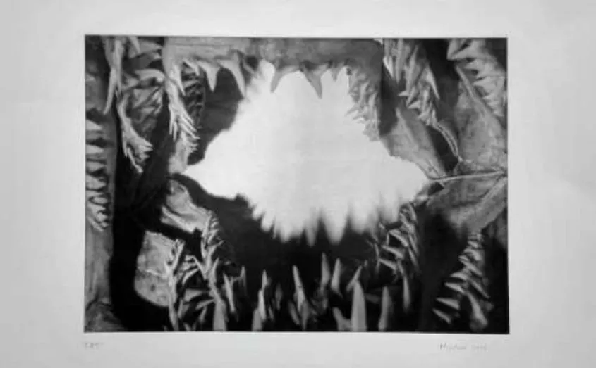 Cartel de la exposición del artista José Eugenio Marchesi