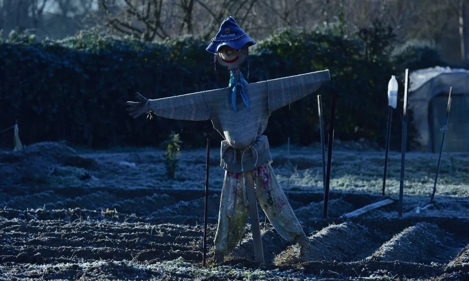 En el invierno de los pájaros