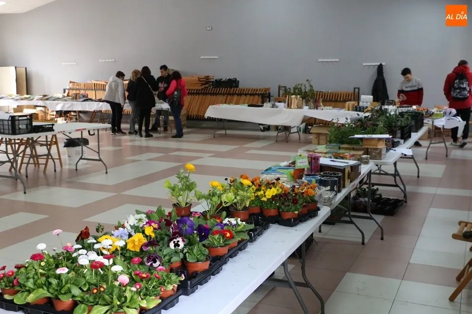 Entre los productos a la venta había plantas y libros