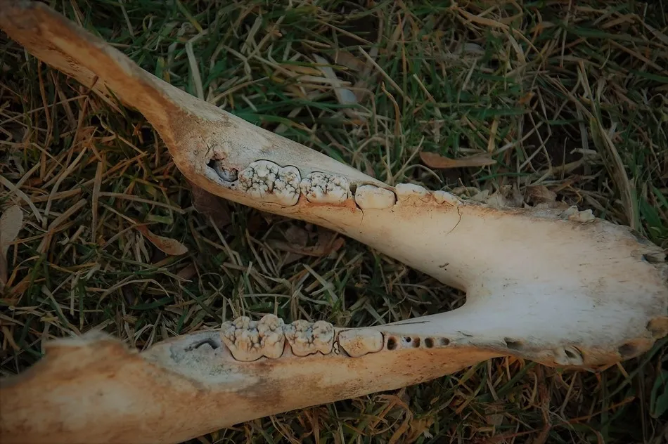 Dicen en el estrépito de Facebook que el silencio es el nuevo lujo