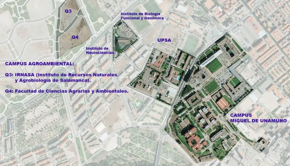 Estas dos parcelas de 10.513 y 17.615 metros cuadrados, respectivamente, se ubican en el nuevo sector denominado La Platina, próximo al Campus Miguel de Unamuno