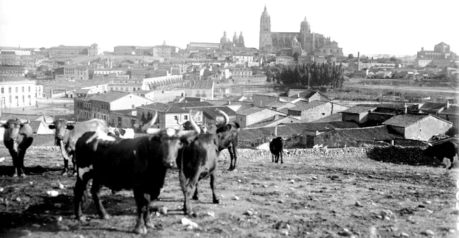 El Teso de la feria, mirador de Salamanca