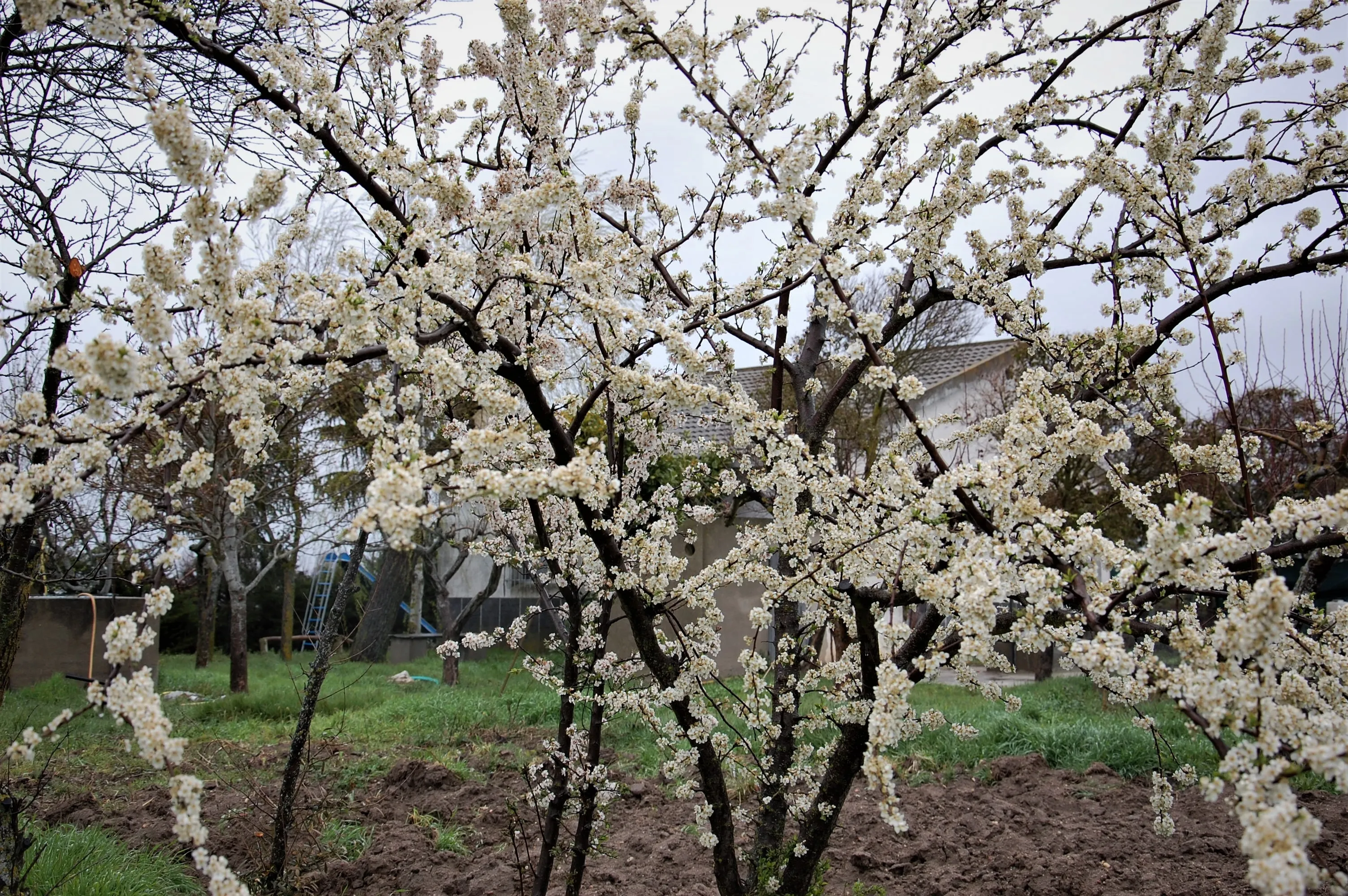 Primavera con nombre de mujer  