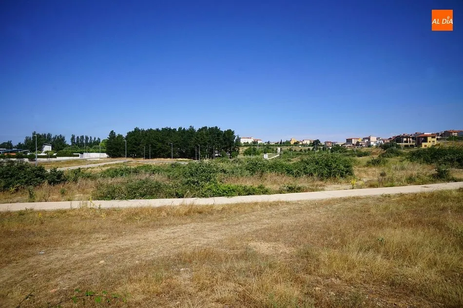 Parcela donde se construirán las 16 viviendas públicas y el instituto de secundaria en Guijuelo