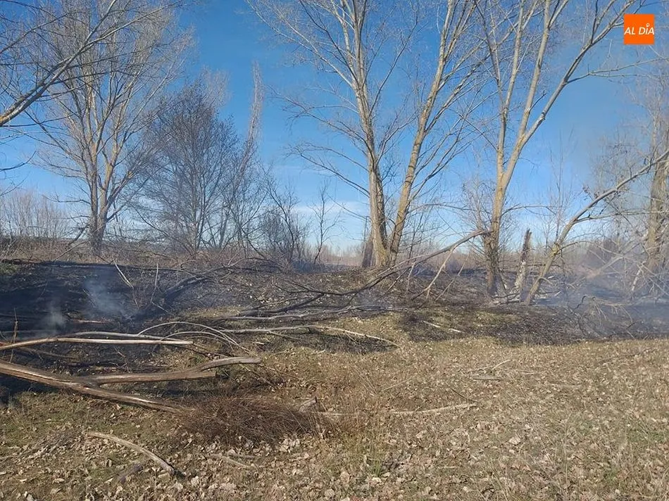 Un incendio consume una hectárea de terreno cerca de Fresno Alhándiga