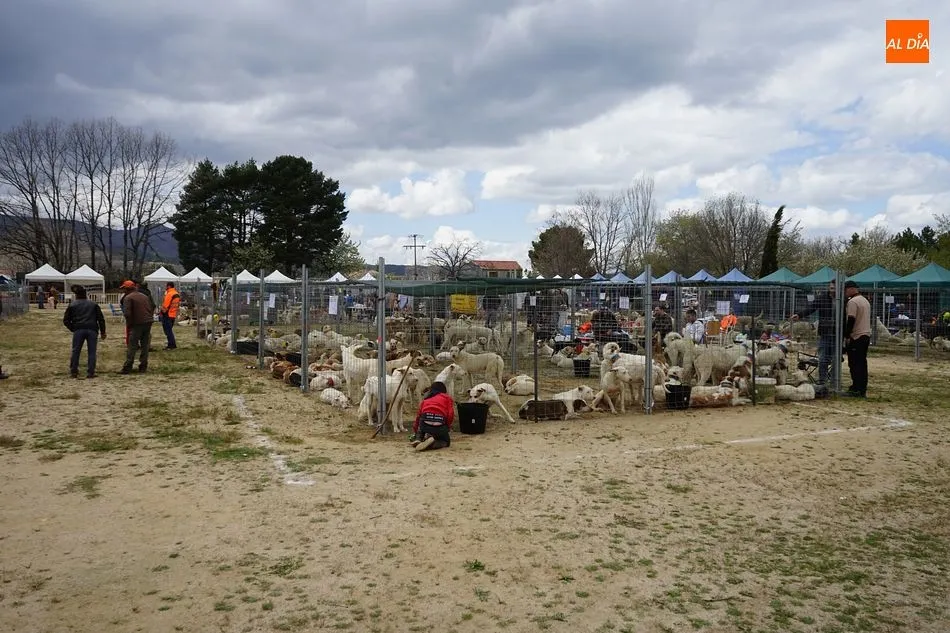 La Feria Cinegética de Linares de Riofrío se celebrará el 4 y 5 de mayo