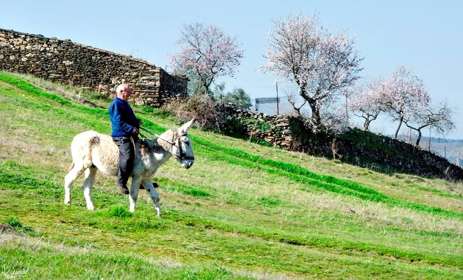 Restos del ayer que permanecen