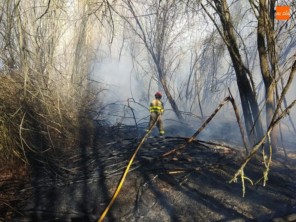 El incendio de Sieteiglesias de Tormes alcanzó unas 4 hectáreas de terreno. Fotos: Bomberos de Guijuelo