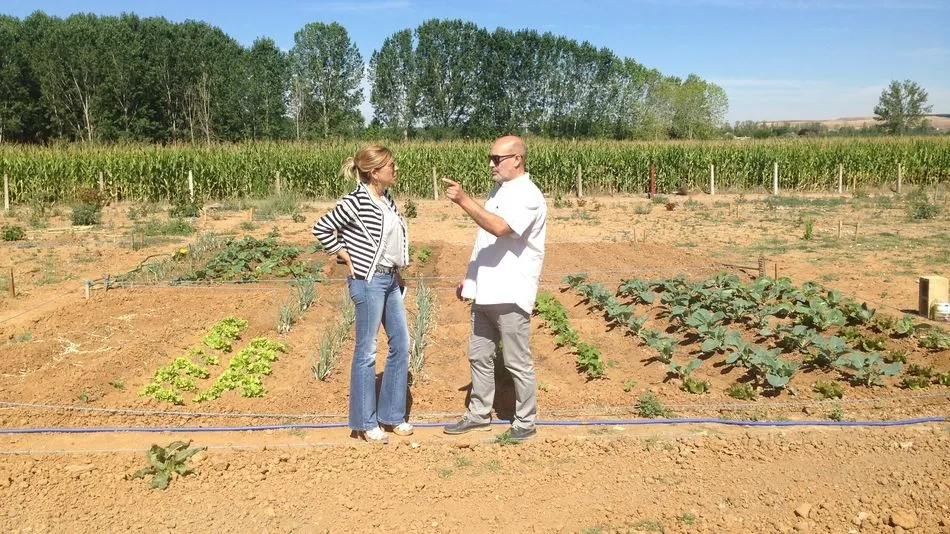 El plazo para la presentación de solicitudes permanecerá abierto hasta el 29 de marzo