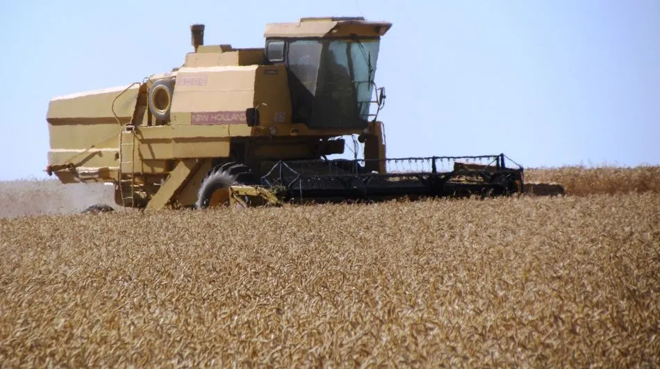 España es deficitario en cereales