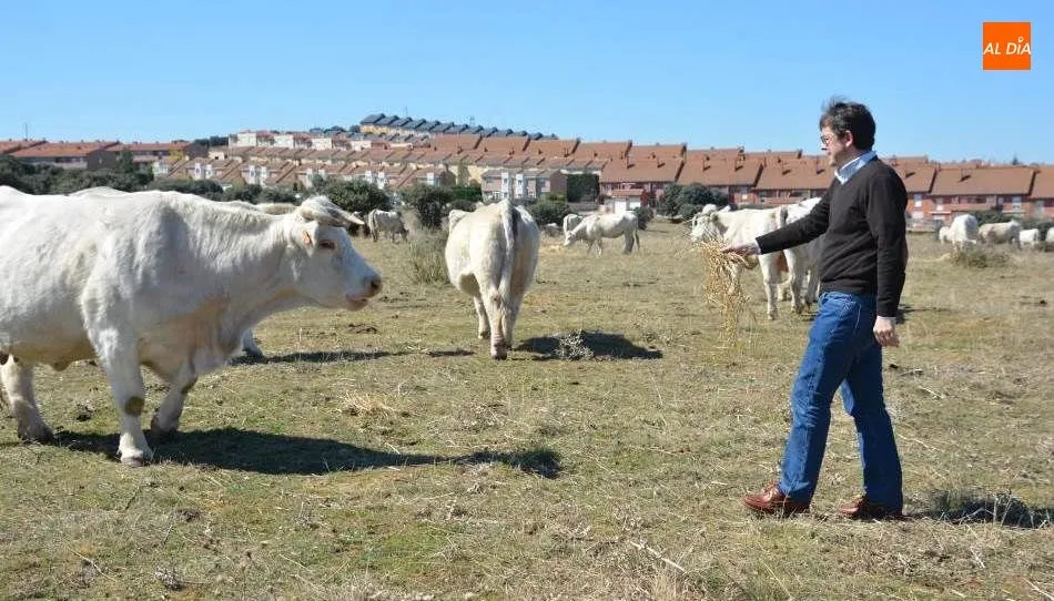 El presidente del Partido Popular de Castilla y León y candidato a presidir la Junta, Alfonso Fernández Mañueco, en la finca El Montalvo. Foto de Lydia González