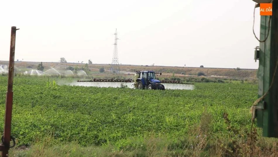 La incorporación de jóvenes al campo, uno de los objetivos de esta línea de ayudas