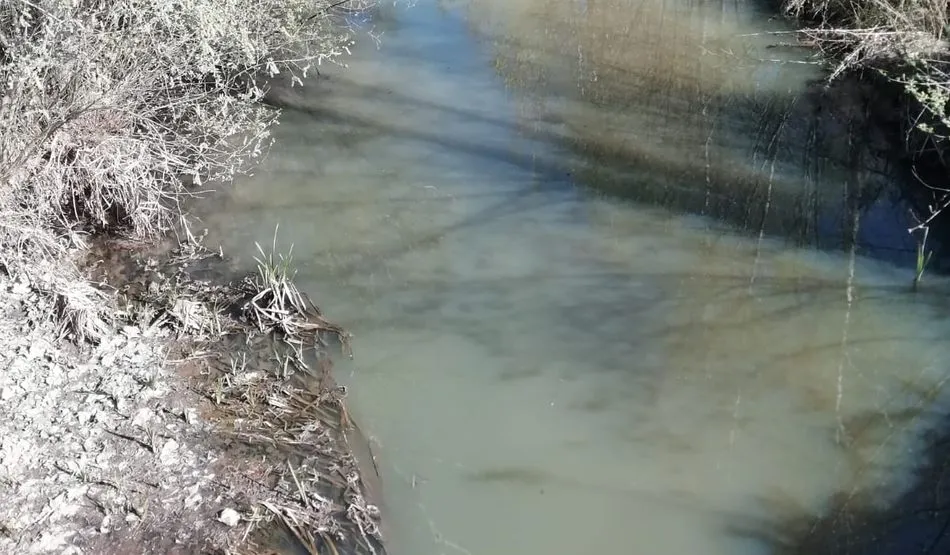 Denuncian un nuevo vertido en las aguas del Tormes, a la altura de La Fontana