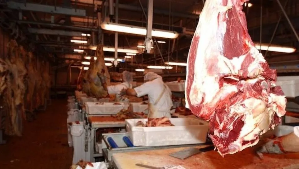 El agroalimentario, uno de los sectores punteros en exportación