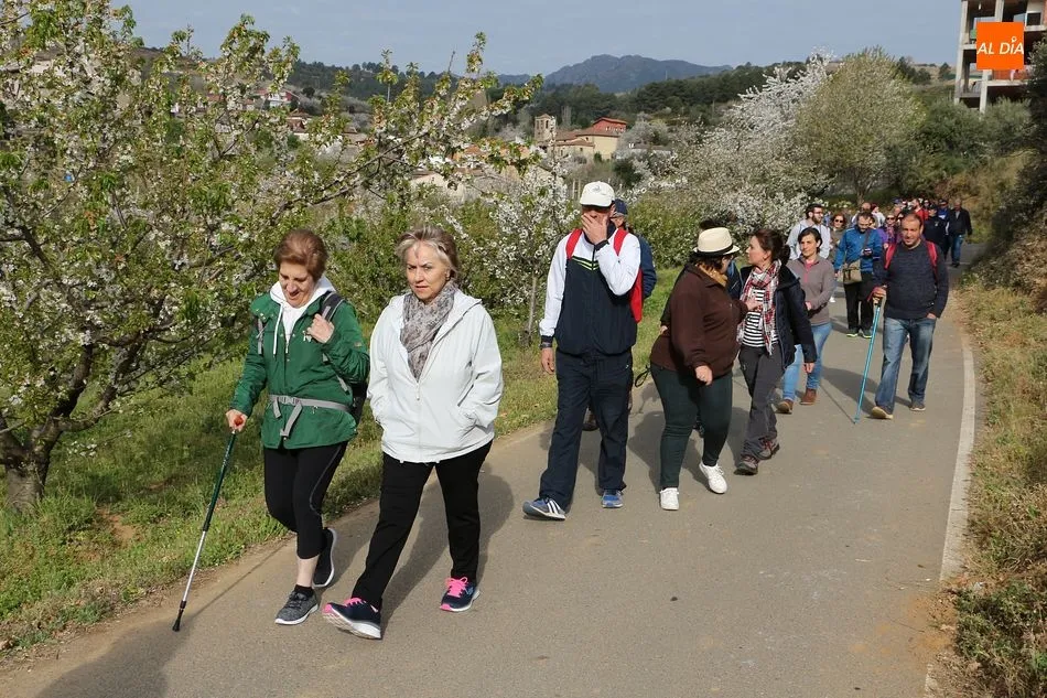 La gran cantidad de árboles florecidos se pueden contemplar en los alrededores de la localidad