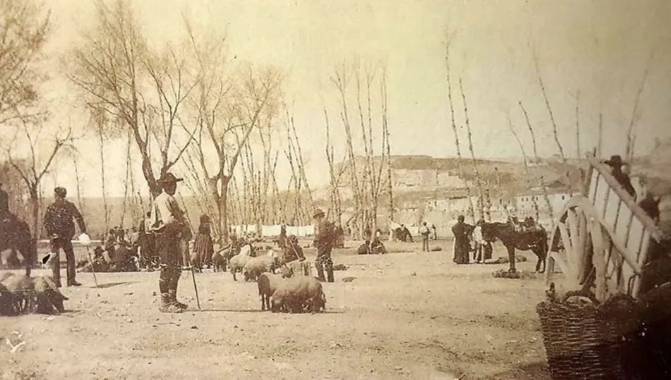 Salamanca, agrícola y ganadera a principios del XX