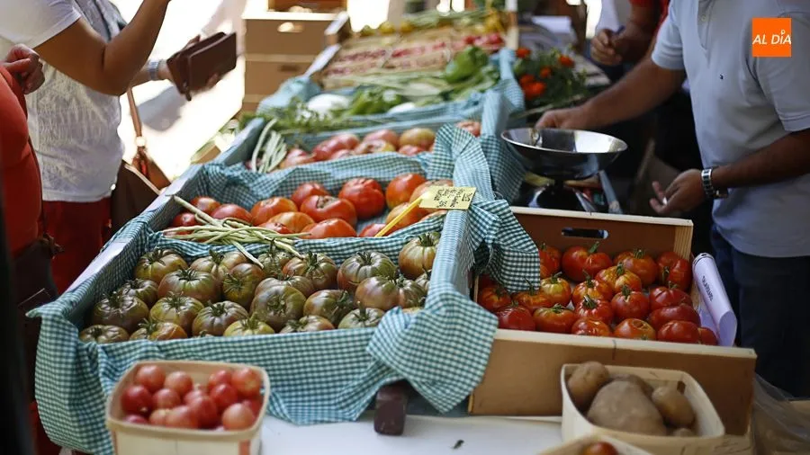 Puestos de productos ecológicos en la plaza de San Justo