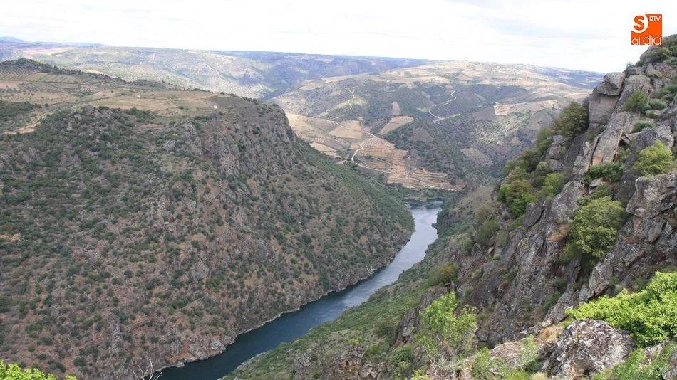 Vista del Duero desde el mirador de la ermita de la Virgen del Castillo en Pereña de la Ribera / CORRAL
