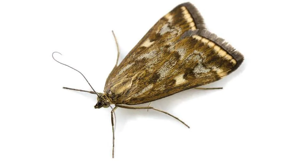 La Diputación reúne en un único volumen 20 años de poesía de Ignacio Martín Salamanca