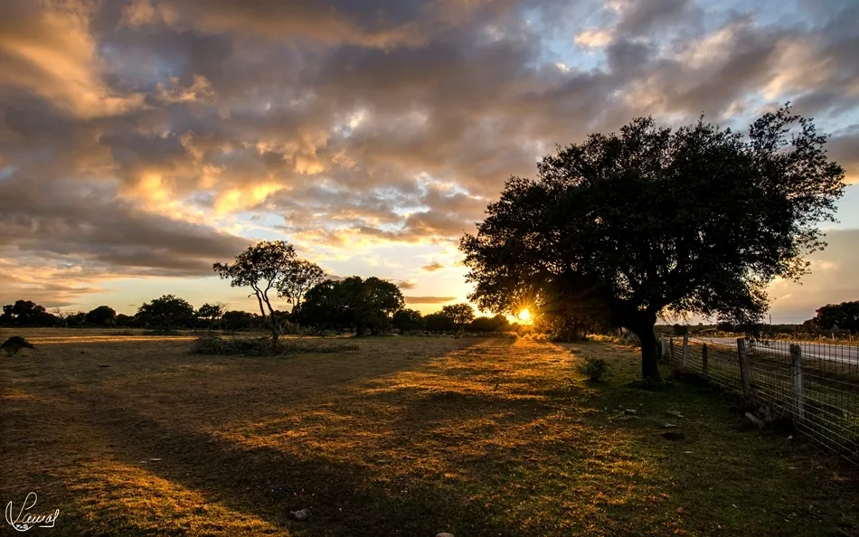 Las caricias del astro