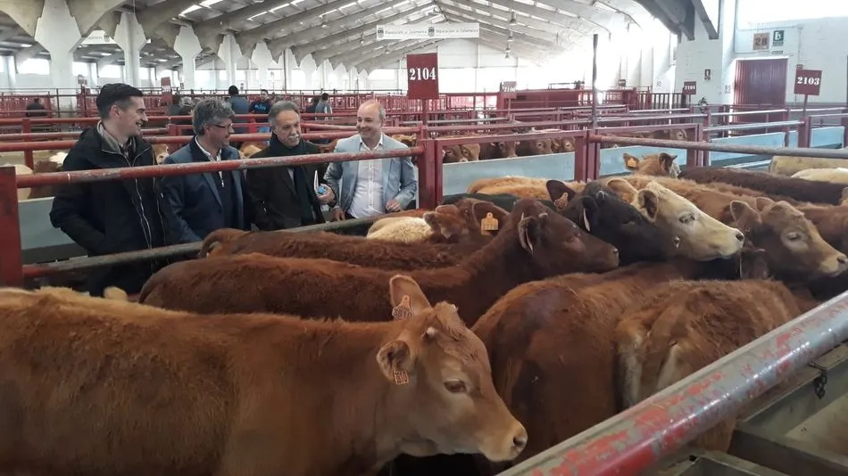 Representantes de Ciudadanos han visitado este lunes el Mercado de Ganado