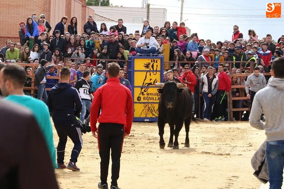 Toro del Voto del año pasado