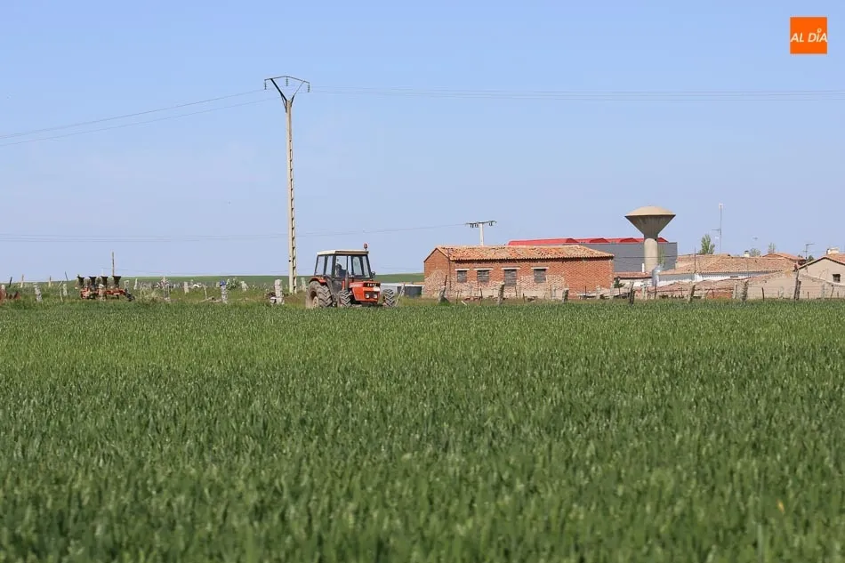Descenso de agricultores por cuenta propia en los últimos datos de la EPA