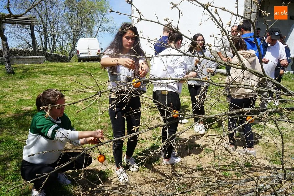 Jóvenes santeñas atan ofrendas a la Picota de los Quintos antes de su instalación frente a la ermita