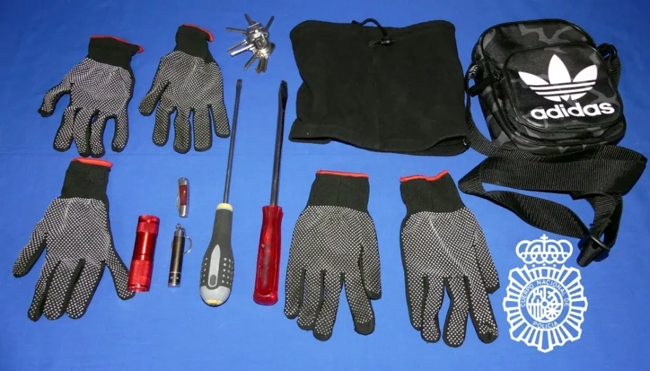 Material intervenido en esta detención