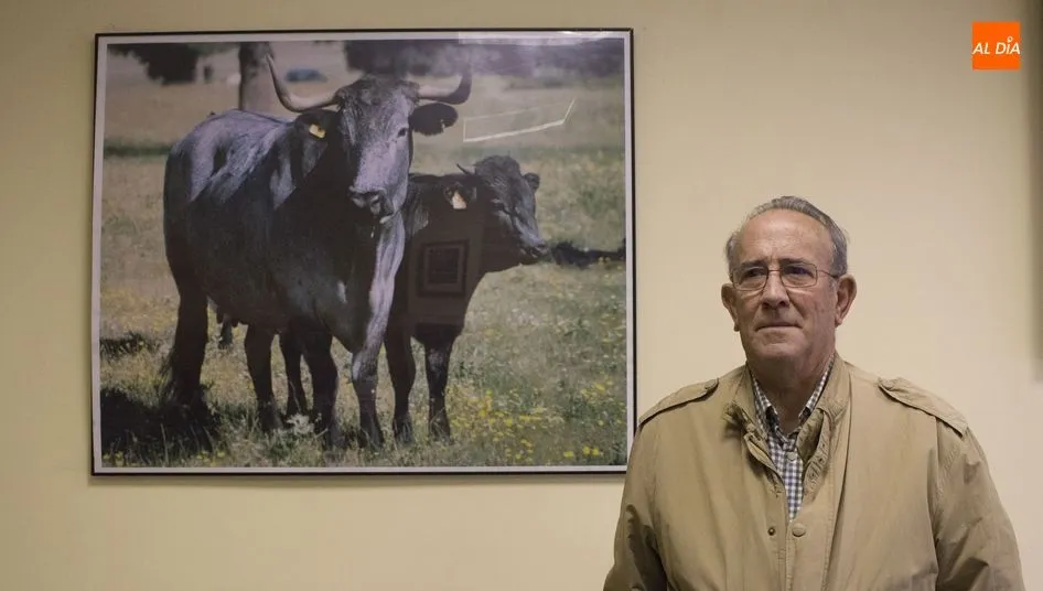 Agustín García, presidente de la Asociación Nacional de Criadores de la Raza Morucha
