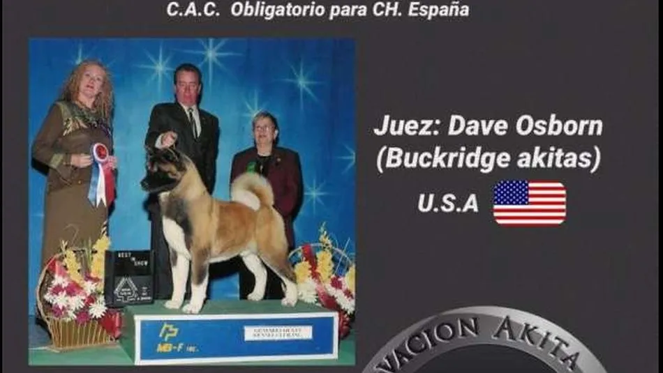 V MOnográfica dedicada a esta raza asiática