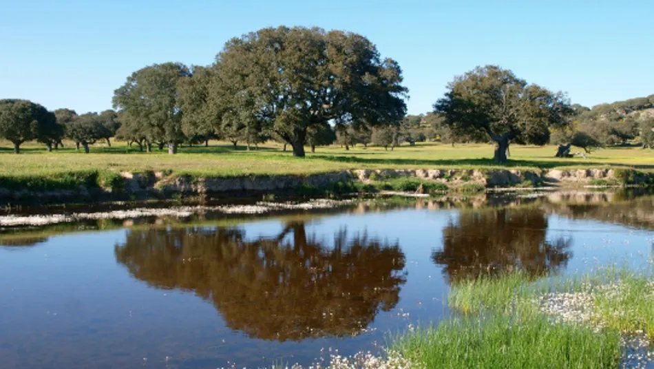 La jornada pretende contribuir a la sensibilización del sector para la conservación y regeneración de suelos