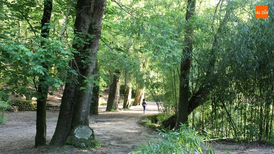 El recorrido botánico y el recorrido histórico son las dos grandes rutas en este bosque/ Fotos: Martín-Garay